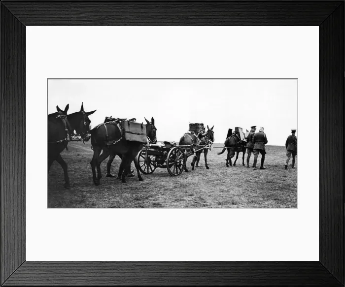 Framed Print : The Army Royal Artillery light pack brigade. June 1935 Framed Print : The Army Royal Artillery light pack brigade. June 1935