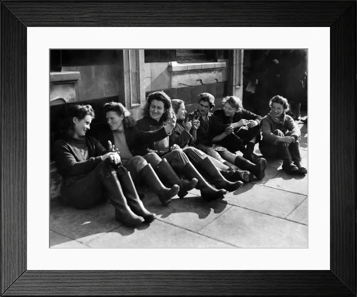 Framed Print : As herring catches have not come up to expectation these English Framed Print : As herring catches have not come up to expectation these English