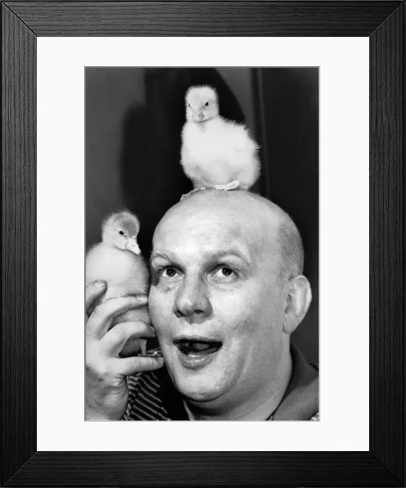Framed Print : Anything for a gaggle. Screenwriter Brian Glover has geese on the brain