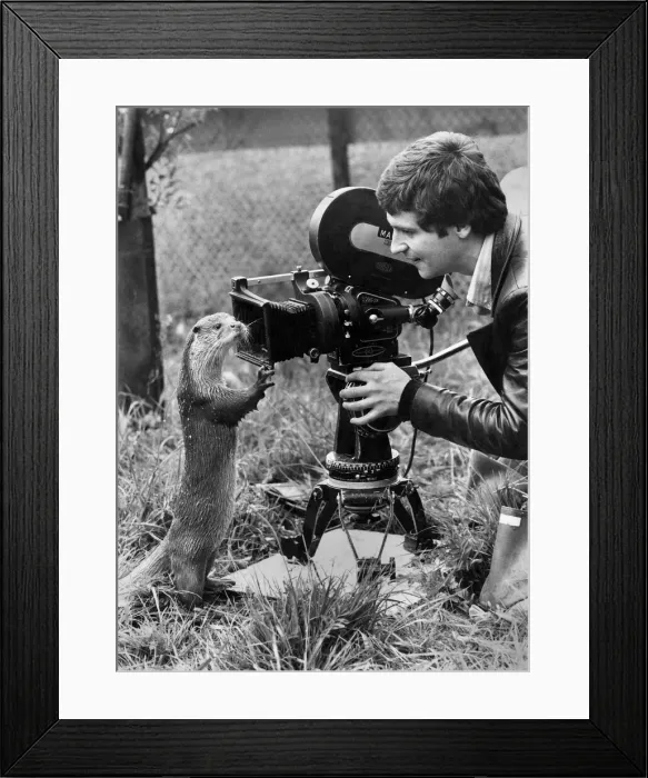 Framed Print : Otter that Turned Rotter: Cosy job, being a photographer
