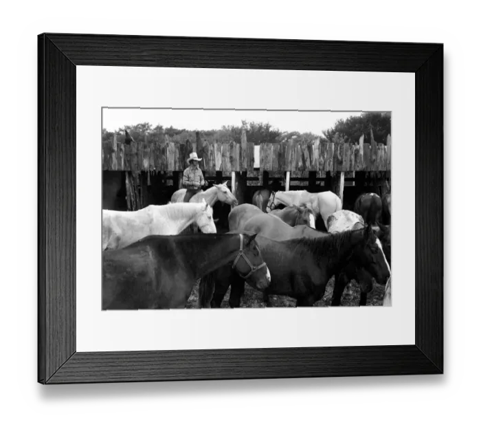 Framed Print : People: Cowboys with horses at a ranch in the USA. December 1980 80-07236-001