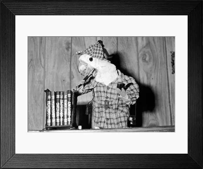Framed Print : Animals: Birds: Humour: Parrots in fancy dress in humorous poses