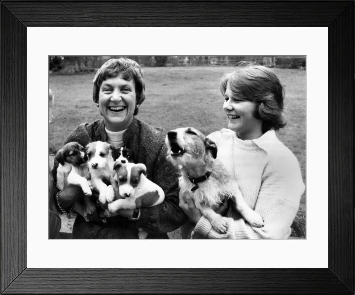 Framed Print : Chancellors budget inflates the population. Budget Framed Print : Chancellors budget inflates the population. Budget