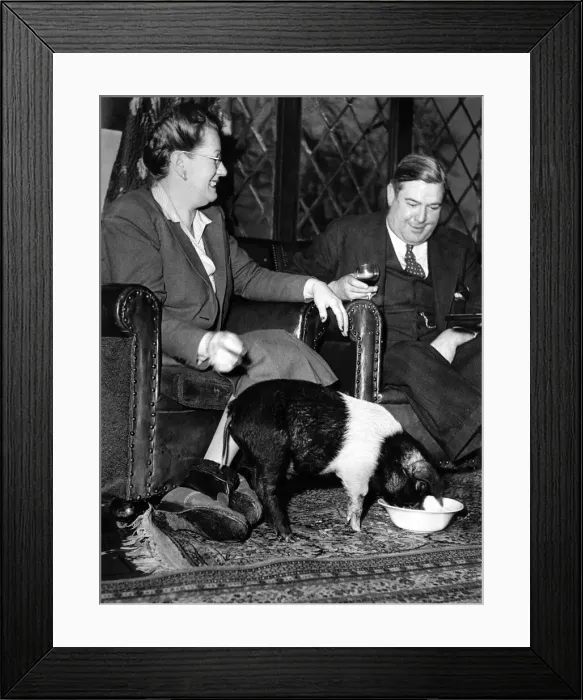 Framed Print : Mrs. Hambrook of the Old Manor Hotel, Bracknell, Berks, offered to look after a week old Framed Print : Mrs. Hambrook of the Old Manor Hotel, Bracknell, Berks, offered to look after a week old