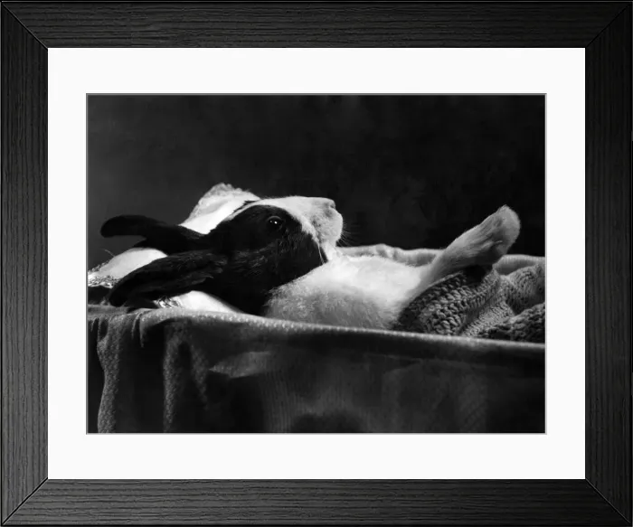 Framed Print : Audrey Parslow aged 6 years of Kingston, Surrey loves to play and act the part of a nurse