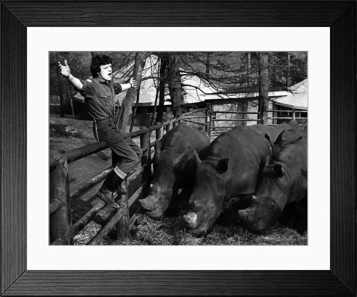 Framed Print : Singalong at the Safari Park: WeIve heard of captive audiences, but this is ridiculous