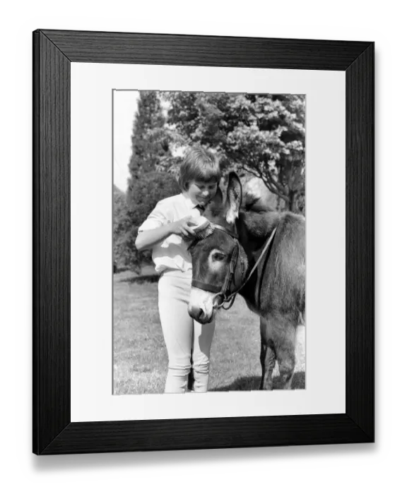 Framed Print : Nine year old girl with donkey at the Donkey racing championships May 1975 Framed Print : Nine year old girl with donkey at the Donkey racing championships May 1975