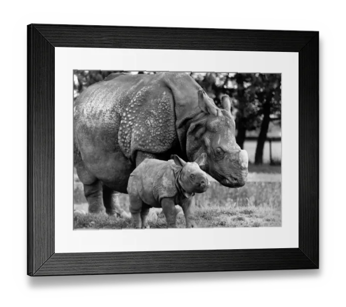 Framed Print : Whos an ugly boy, then? He may not be a pretty baby Framed Print : Whos an ugly boy, then? He may not be a pretty baby