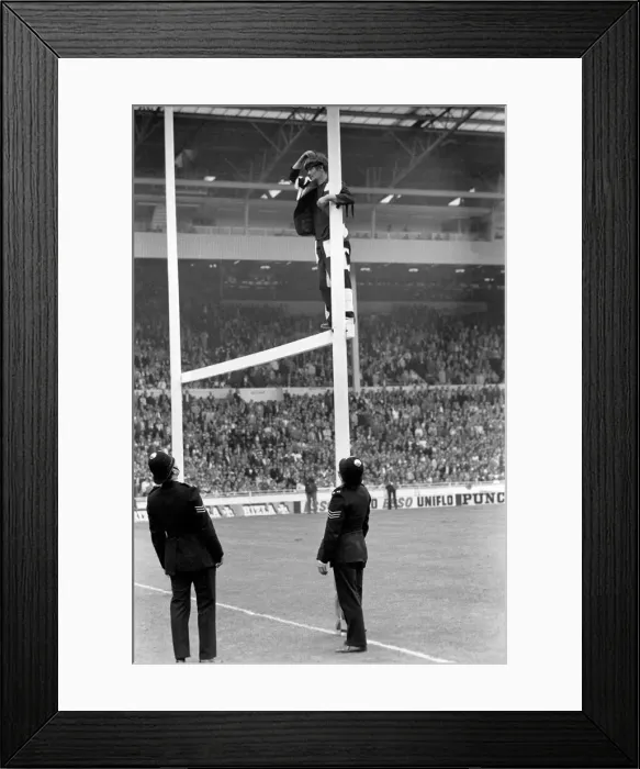 Framed Print : Rugby League Chalenge Cup Final at Wembley Stadium Warrington v Widnes A fan Framed Print : Rugby League Chalenge Cup Final at Wembley Stadium Warrington v Widnes A fan