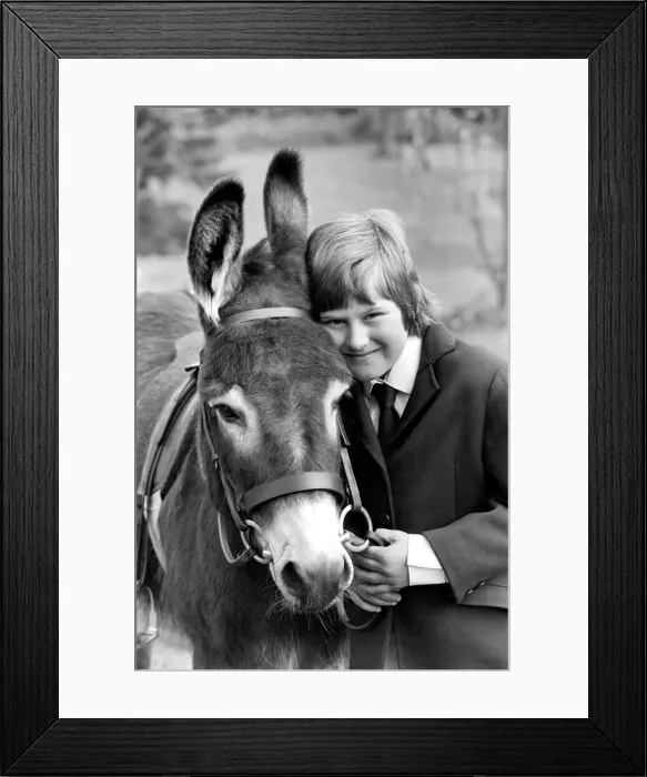 Framed Print : Nine year old girl with donkey at the Donkey racing championships May 1975 Framed Print : Nine year old girl with donkey at the Donkey racing championships May 1975