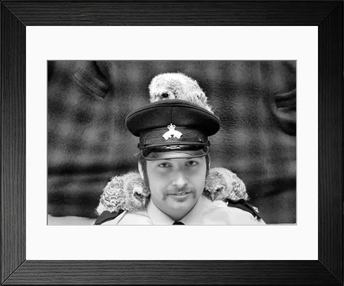 Framed Print : Three young baby owls perched on the shoulders of RSPCA officer David Barnes