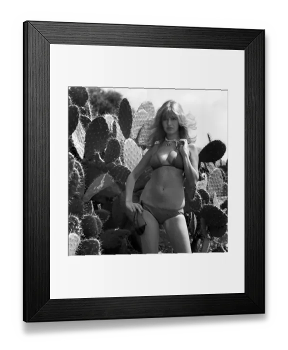 Framed Print : Model wearing a bikini as she stands next to a cactus in Africa April 1975