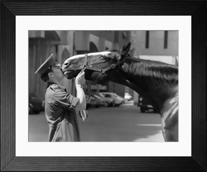 Framed Print : Army: Horses: I ll miss you pal. Touch of Friendship