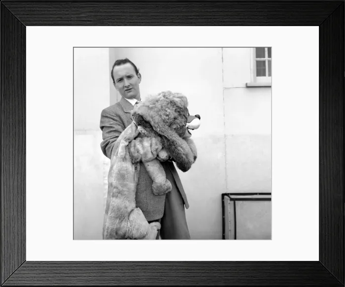 Framed Print : Terry Hall with Lennie the Lion. 1954 A401-012 Framed Print : Terry Hall with Lennie the Lion. 1954 A401-012