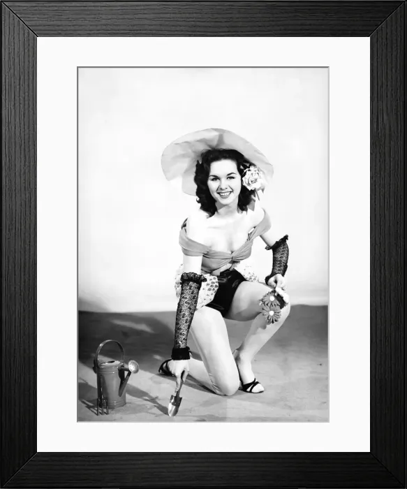 Framed Print : Woman in fancy dress gardening. 1959 E146-001 Framed Print : Woman in fancy dress gardening. 1959 E146-001