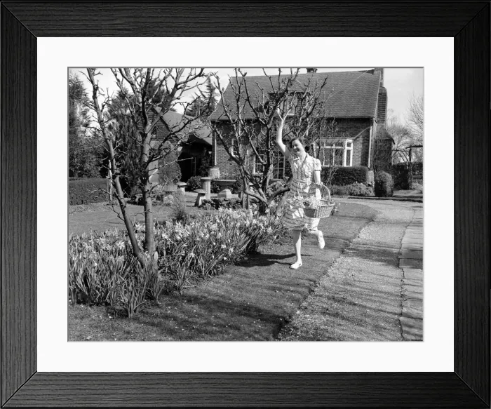 Framed Print : A woman leaping for joy with a basket full of daffodils picked from her garden on a Framed Print : A woman leaping for joy with a basket full of daffodils picked from her garden on a