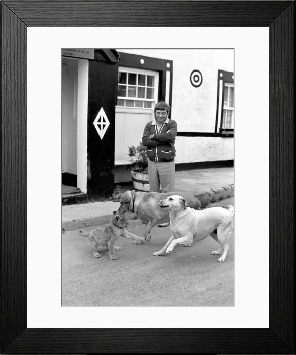 Framed Print : Animal: Unusual: Cute: Lion cub at Public House. Regulars at a quiet country pub in Framed Print : Animal: Unusual: Cute: Lion cub at Public House. Regulars at a quiet country pub in