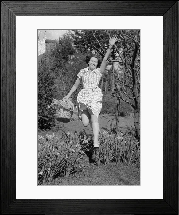 Framed Print : A woman leaping for joy with a basket full of daffodils picked from her garden on a