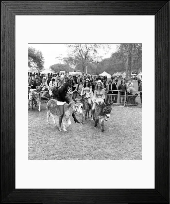 Framed Print : Donkey Derby held for charity at Festival Gardens. Bunny girls Framed Print : Donkey Derby held for charity at Festival Gardens. Bunny girls