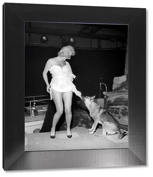 Actress Liz Fraser seen here having a little trouble with one of her co-stars on set at