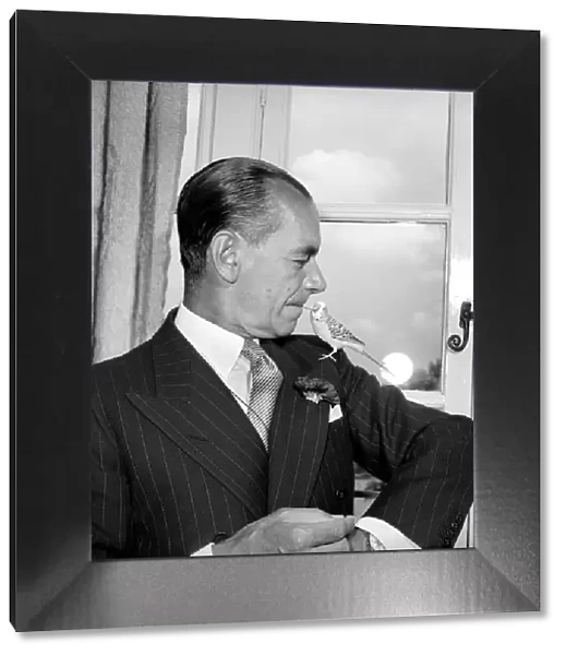 Conductor: Sir Malcolm Sargent with his pet budgie. July 1957