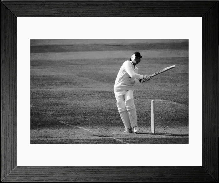 Framed Print : Sport: Cricket: The Ashes: England v. Australia at Lords. Action during the test match Framed Print : Sport: Cricket: The Ashes: England v. Australia at Lords. Action during the test match