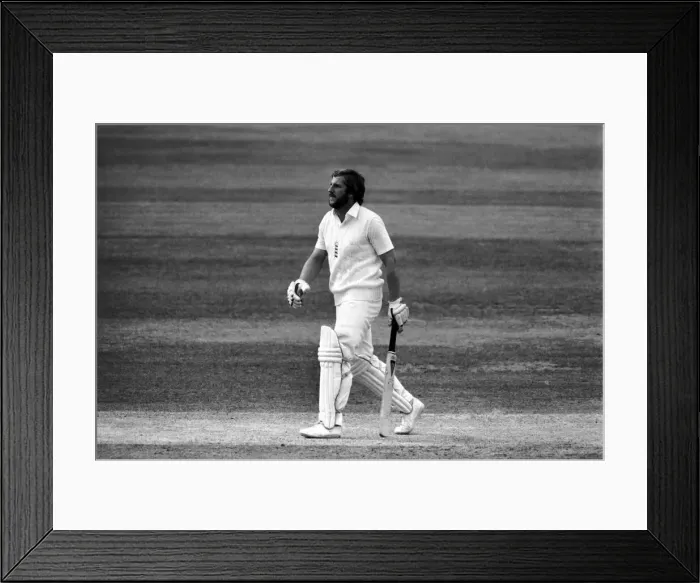 Framed Print : Sport: Cricket: The Ashes: England v. Australia at Lords. Action during the test match Framed Print : Sport: Cricket: The Ashes: England v. Australia at Lords. Action during the test match