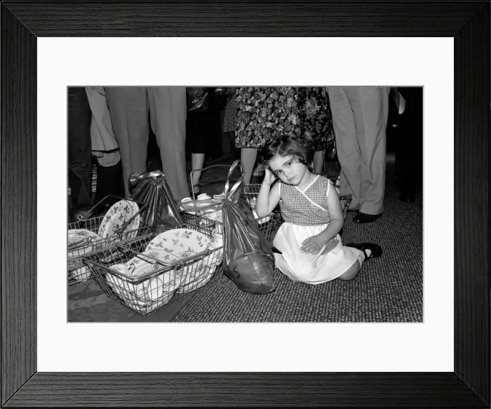 Framed Print : Shopping: Harrods Sale. The top peoples'store started their summer sale today Framed Print : Shopping: Harrods Sale. The top peoples'store started their summer sale today