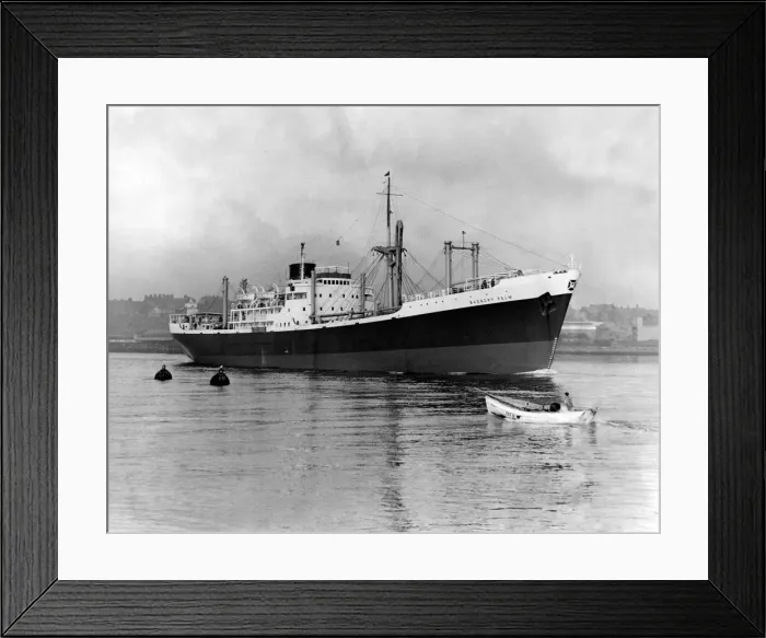 Framed Print : The 7, 400-ton ship Badagry Palm leaves the River Tyne Framed Print : The 7, 400-ton ship Badagry Palm leaves the River Tyne