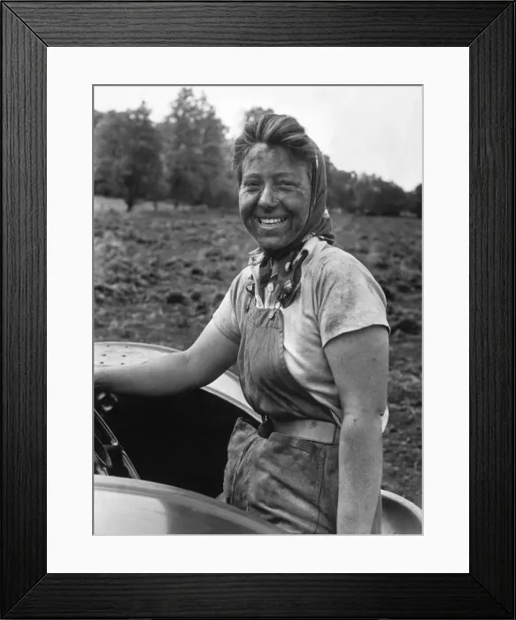 Framed Print : A woman at work cultivating rich black farmland soil in the English countryside Framed Print : A woman at work cultivating rich black farmland soil in the English countryside