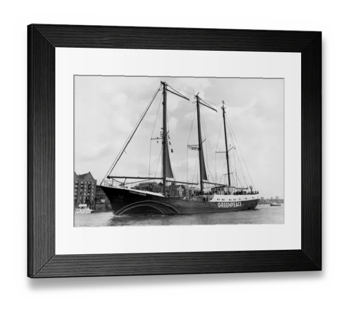 Framed Print : The Greenpeace ship Rainbow Warrior near Tower Bridge. 9th August 1989