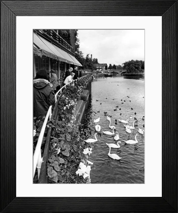 Framed Print : Visitors on the terrace of the River Room Restaurant at the Royal Shakespeare Theatre Framed Print : Visitors on the terrace of the River Room Restaurant at the Royal Shakespeare Theatre