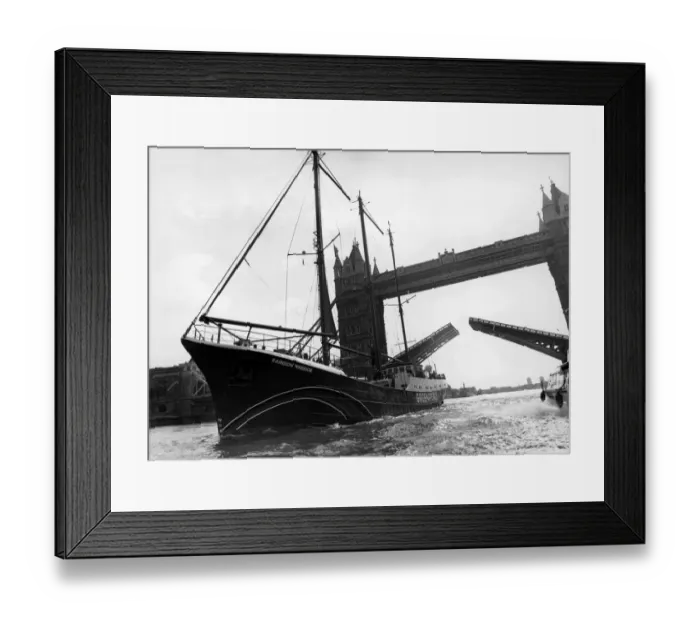 Framed Print : The Greenpeace ship Rainbow Warrior passes beneath Tower Bridge Framed Print : The Greenpeace ship Rainbow Warrior passes beneath Tower Bridge