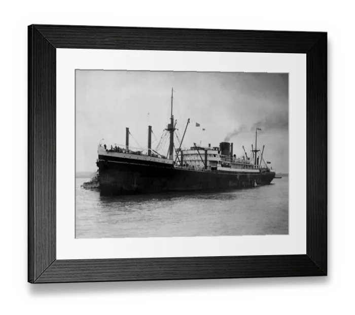 Framed Print : Zealandia also known as S. S. Zealandia and nicknamed Z'(or Zed Framed Print : Zealandia also known as S. S. Zealandia and nicknamed Z'(or Zed