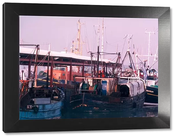 Fishing boats at North Shields Fish Quay in 1995