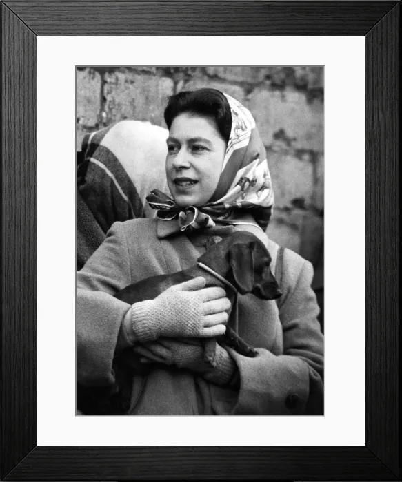 Framed Print : Queen Elizabeth II at the Badminton Horse Trials, held 18th to 19th April 1958 Framed Print : Queen Elizabeth II at the Badminton Horse Trials, held 18th to 19th April 1958