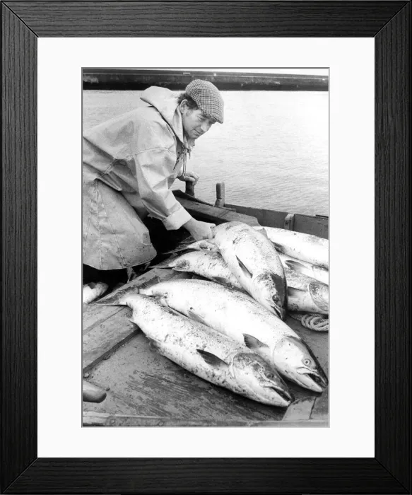 Framed Print : Fisherman John Rutherford sorts his catch in 1980 Framed Print : Fisherman John Rutherford sorts his catch in 1980