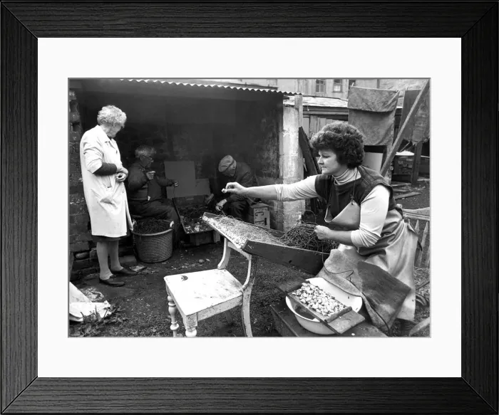 Framed Print : Rena Welsh with mussels at her side and 1, 200 hooks in front of her waiting to be baited Framed Print : Rena Welsh with mussels at her side and 1, 200 hooks in front of her waiting to be baited