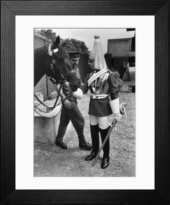 Framed Print : Army: Regimental Life Guards. August 1979 P035492 Framed Print : Army: Regimental Life Guards. August 1979 P035492