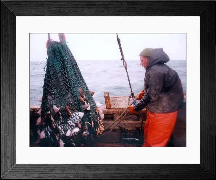Framed Print : A fisherman brings in his net with a fair sized catch in 1996 Framed Print : A fisherman brings in his net with a fair sized catch in 1996