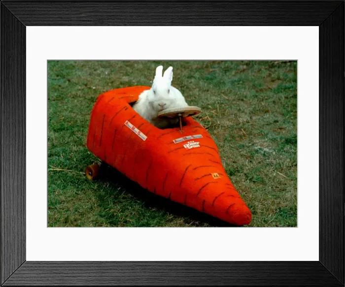 Framed Print : Inventor John Ward has built a car for his pet rabbit Eric. September 1996 Framed Print : Inventor John Ward has built a car for his pet rabbit Eric. September 1996