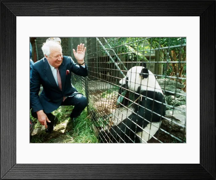 Framed Print : Edward Heath meets panda Chia Chia at London Zoo Framed Print : Edward Heath meets panda Chia Chia at London Zoo