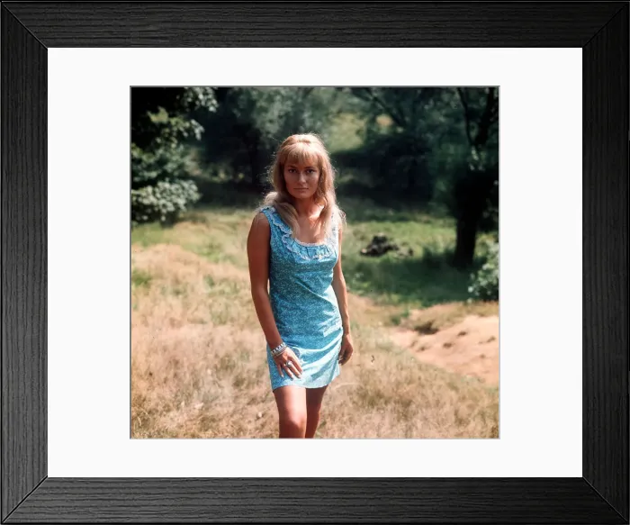 Framed Print : Stephanie Beacham August 1968 Actress poses for photographes in field Framed Print : Stephanie Beacham August 1968 Actress poses for photographes in field