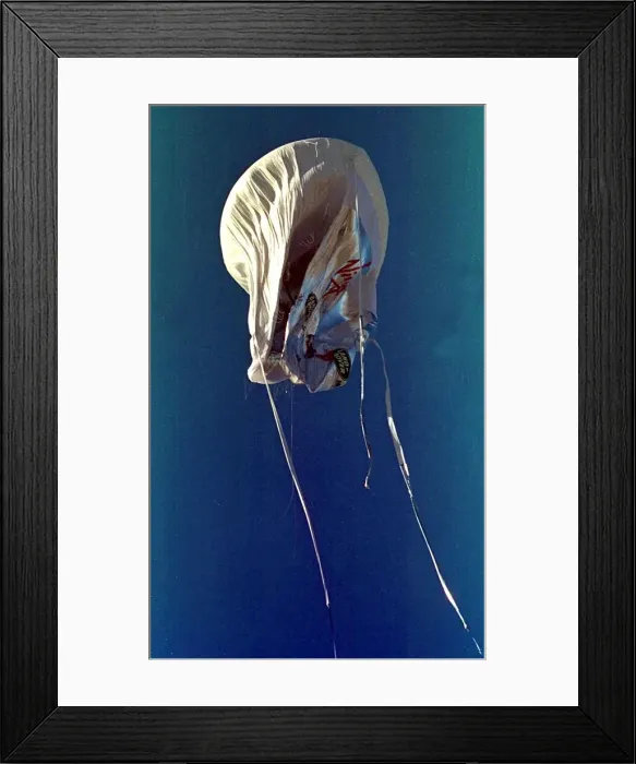 Framed Print : The Virgin Global Challenger hot air balloon December 1997 in which Richard Branson will Framed Print : The Virgin Global Challenger hot air balloon December 1997 in which Richard Branson will