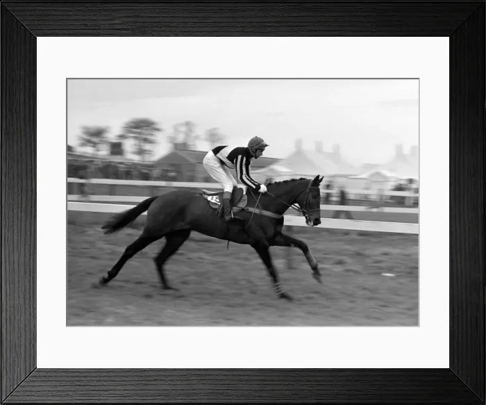 Framed Print : Cheltenham Gold Cup 1972. 16th March 1972 Framed Print : Cheltenham Gold Cup 1972. 16th March 1972