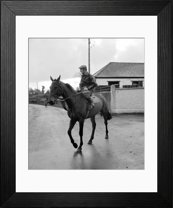 Framed Print : A day in the life of Arkle. 21st November 1965 Framed Print : A day in the life of Arkle. 21st November 1965