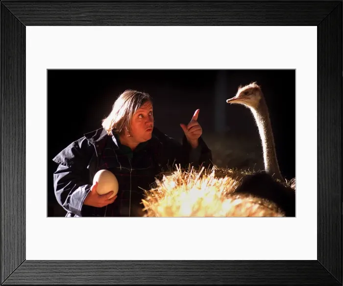 Framed Print : Clarissa Dickson-Wright with one of her osriches holding egg pointing finger Framed Print : Clarissa Dickson-Wright with one of her osriches holding egg pointing finger