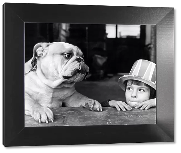 Animals - Dogs - Bulldogs children : Friendship. December 1977 P000577