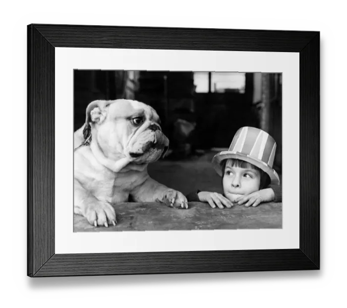 Framed Print : Animals - Dogs - Bulldogs children : Friendship. December 1977 P000577 Framed Print : Animals - Dogs - Bulldogs children : Friendship. December 1977 P000577