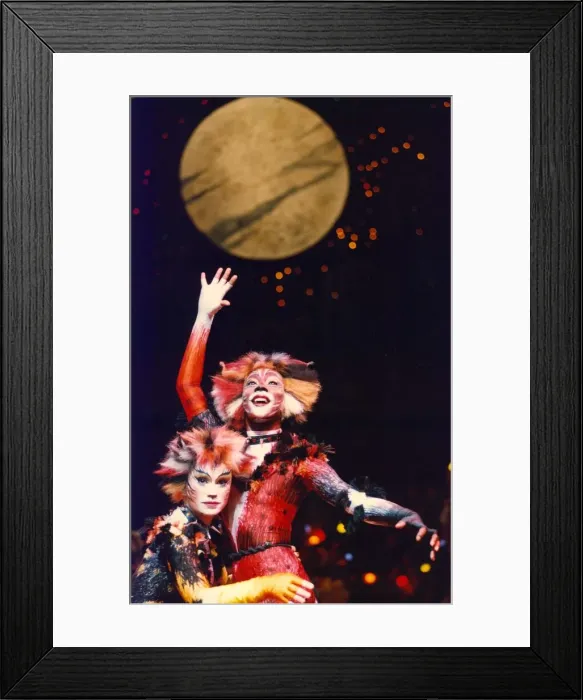 Framed Print : A scene from the musical Cats